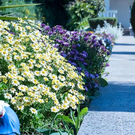 Apartamento Gorana *